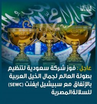 فوز شركة سعودية لتنظيم بطولة العالم لجمال الخيل العربية (SEWC) للسلالة المصرية 