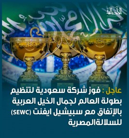 فوز شركة سعودية لتنظيم بطولة العالم لجمال الخيل العربية (SEWC) للسلالة المصرية 