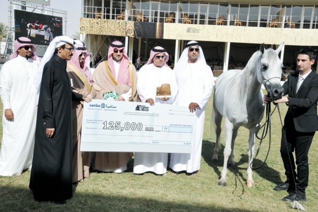 «إف تي شيلة» لمربط دبي تكتسح منافساتها