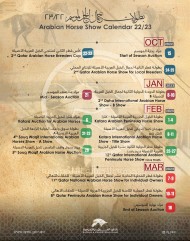 14 بطولة وفعالية خلال موسم (2022 -2023) لعروض الخيل العربية في قطر