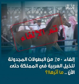 إلغاء 50٪ من البطولات المجدولة للخيل العربية في المملكة حتى الآن .. ما أثرها!؟