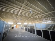 مركز المرتجز للفروسية يكمل استعداده لاستضافة بطولة الإنتاج المحلي 2022 – صور