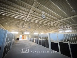 مركز المرتجز للفروسية يكمل استعداده لاستضافة بطولة الإنتاج المحلي 2022 – صور