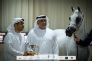 صور مقتطفة من اليوم الأول من بطولة الإمارات ٢٠٢٢ الوطنية للخيل العربية