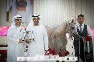 مربط عجمان يستهل موسمه بأربعة القاب في بطولة الإمارات الوطنية ٢٠٢٢ لعروض الخيل العربية