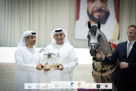 ذهبيتان وبرونزيتان وفضية لإسطبلات الأريام في بطولة الإمارات الوطنية ٢٠٢٢ لعروض الخيل العربية