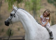 ركوب الخيل من أشرف وأروع الرياضات التي مارسها الإنسان