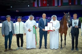 ذهبية وفضية وبرونزية لخيول اسطبلات الأريام في بطولة الجديدة 2022 للخيل العربية بالمغرب