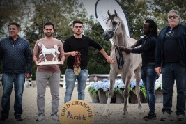 “دواس السيد” يحرز لقب ذهبية الأمهار عمر سنة و 93 درجة على فئته ببطولة ميلان 2022