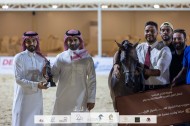 بالصور: نتائج اليوم الأول لبطولة الإنتاج المحلي للخيول العربية 2022