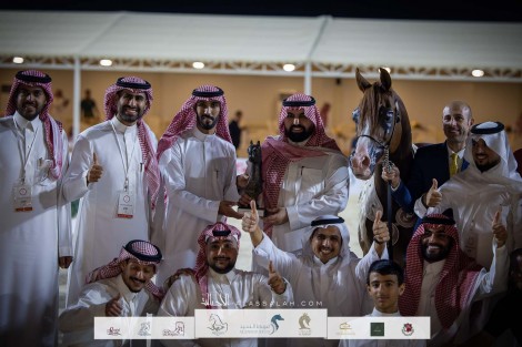 صور مقتطفة لليوم الختامي من بطولة الإنتاج المحلي ٢٠٢٢ للخيل العربية