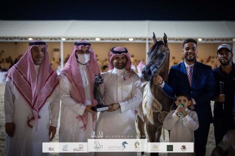بالصور النتائج النهائية لبطولة الإنتاج المحلي 2022 للخيول العربية
