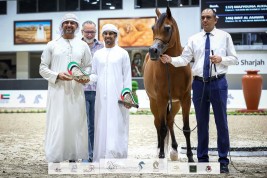 نتائج وصور اليوم الثاني لمهرجان الشارقة للجواد العربي – الإنتاج المحلي