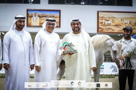 نتائج وصور اليوم الثالث لمهرجان الشارقة للجواد العربي – الإنتاج المحلي