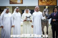 النتائج النهائية والصور لمهرجان الشارقة للجواد العربي – الإنتاج المحلي
