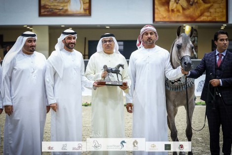 النتائج النهائية والصور لمهرجان الشارقة للجواد العربي – الإنتاج المحلي