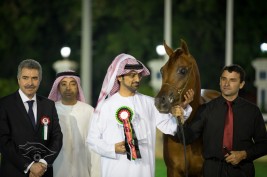 مربط عجمان يكتسح اليوم الختامي في بطولة ابوظبي ٢٠١٣