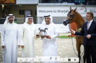 خيول «عجمان» تخطف ذهبية وبرونزيتان  في ختام مهرجان الشارقة 2022 للإنتاج المحلي