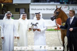 خيول «عجمان» تخطف ذهبية وبرونزيتان  في ختام مهرجان الشارقة 2022 للإنتاج المحلي