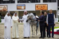 مربط دبي يتألق بالذهب والفضة بمهرجان الشارقة للجواد العربي – الإنتاج المحلي 2022