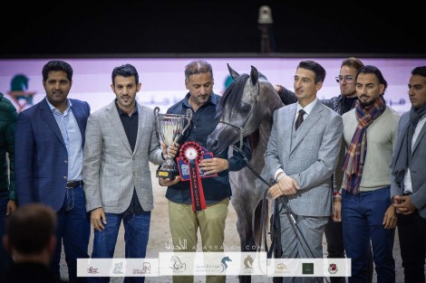 بالصور: نتائج اليوم الأول لبطولة العالم للخيل العربية – باريس 2022