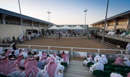 نجاح كبير لمزاد الشقب الرابع بحصيلة 4 ملايين ريال من 40 رأس من الخيل العربية الأصيلة