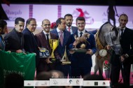 خيول مربط أكمل تحلق بلقبين ذهب وفضة في بطولة العالم باريس 2022 للخيل العربية