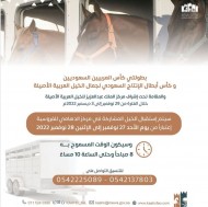 بدء استقبال الخيول المشاركة في بطولتي كأس المربين وكأس أبطال الإنتاج يوم الأحد