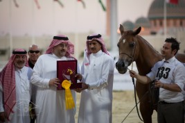 الشقب يواصل التحدي بالبطولة الدولية لجمال الخيل