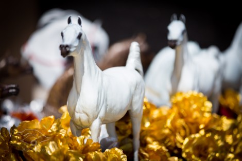 نتائج الأفحل و أبطال بطولة قطر الدولية الـ٢٢ لجمال الخيل العربية