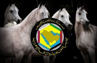 مبادرة قطرية لإقامة كأس الخليج لجمال الخيل العربية الاصيلة