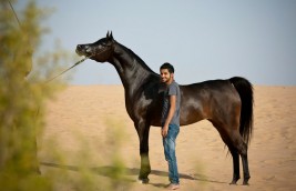 إنضمام المبدع نواف الجهني لفريق الأصالة