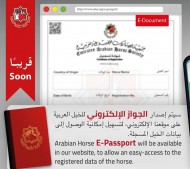 جمعية الإمارات للخيل العربية تعلن اصدار جواز الخيل الالكتروني