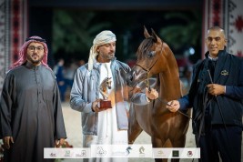 صور مقتطفة من اليوم الثاني لبطولة عجمان 2023 للخيول العربية