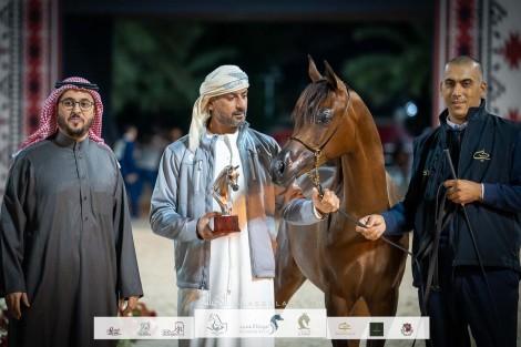 صور مقتطفة من اليوم الثاني لبطولة عجمان 2023 للخيول العربية