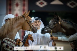 النتائج النهائية لبطولة عجمان للخيل العربية الأصيلة 2023 