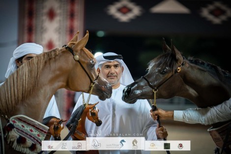 النتائج النهائية لبطولة عجمان للخيل العربية الأصيلة 2023