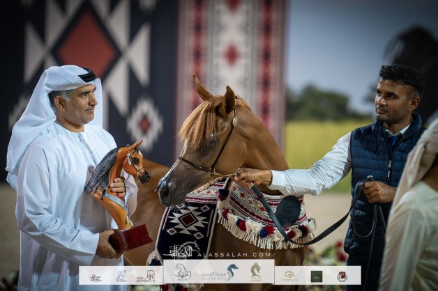 ثنائية فضية للأريام في بطولة عجمان للخيل العربية الأصيلة 2023