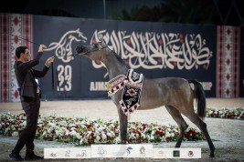 ندية الزبير نجمة ذهبية صاعدة في مربط الزبير 