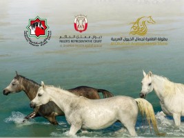 بطولة الظفرة للخيل العربية الأربعاء المقبل – برنامج البطولة