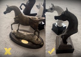 مالك الخيل الكويتي : فلاح اليامي يدعو لاستخدام بدائل للتماثيل في بطولات الخيل العربية