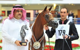 النتائج النهائية لأبطال بطولة الشارقة الدولية لجمال الجواد العربي