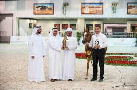 خيول الإمارات تحلق بألقاب 4 بطولات في الشارقة