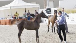 مليونا دينار … مكرمة أميرية لإعادة تأهيل «بيت العرب»