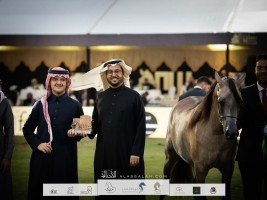 نتائج اليوم الأول لعروض الخيل العربية بمهرجان الأمير سلطان العالمي 2023 