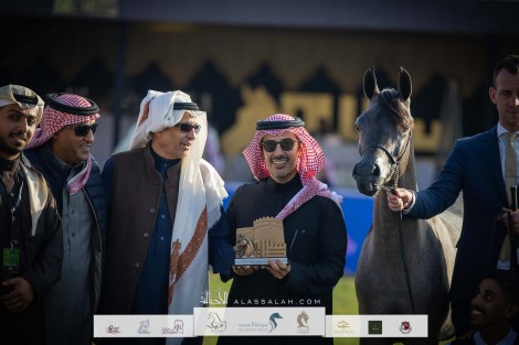 نتائج اليوم الثاني لعروض الخيل العربية بمهرجان الأمير سلطان العالمي 2023