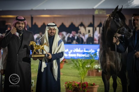 النتائج النهائية بالصور لعروض الخيل العربية بمهرجان الأمير سلطان العالمي 2023