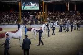 النتائج النهائية لبطولة الخيول الجزيرية بمهرجان كتارا 2023 