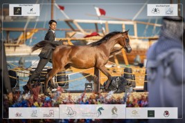 مهرجان كتارا .. تفاصيل صغيرة ذات قيمة كبيرة