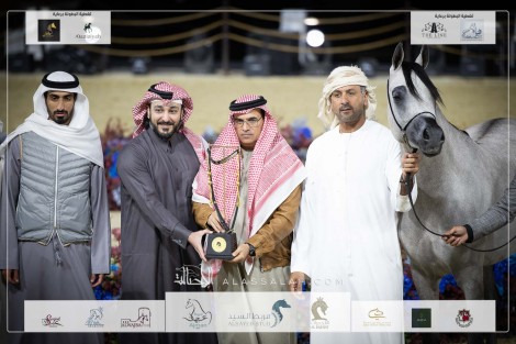 بالصور نتائج اليوم الثاني لبطولة كتارا الدولية “تايتل شو” 2023 لعروض الخيل العربية